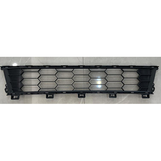 Bumper Grille
