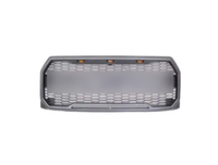 15-17 RAPTOR Grille