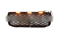 Modify raptor style grille